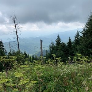 Meet your Posher, Ben